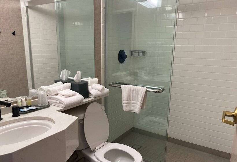 غرفه قياسيه سريرين مزدوجين, Tempest, Trademark Collection By Wyndham