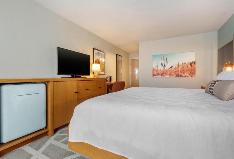 جناح لذوى الاحتياجات الخاصة, Tempest, Trademark Collection By Wyndham