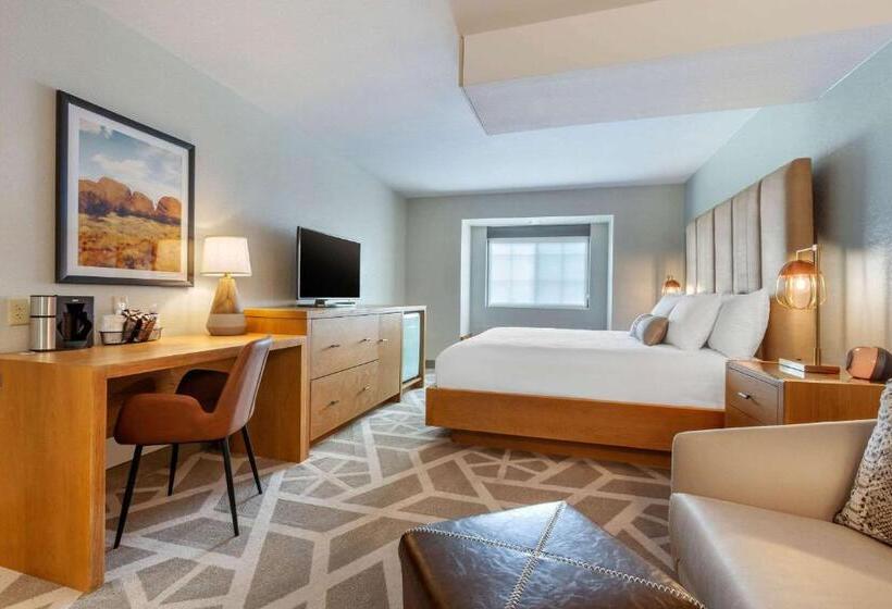 جناح لذوى الاحتياجات الخاصة, Tempest, Trademark Collection By Wyndham