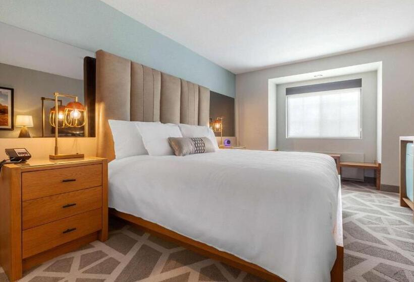 غرفة قياسية, Tempest, Trademark Collection By Wyndham