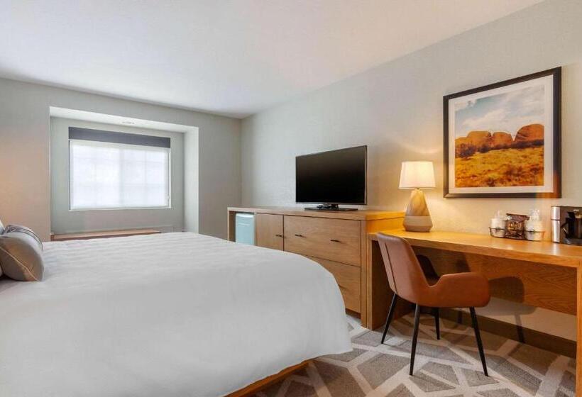 غرفة قياسية, Tempest, Trademark Collection By Wyndham