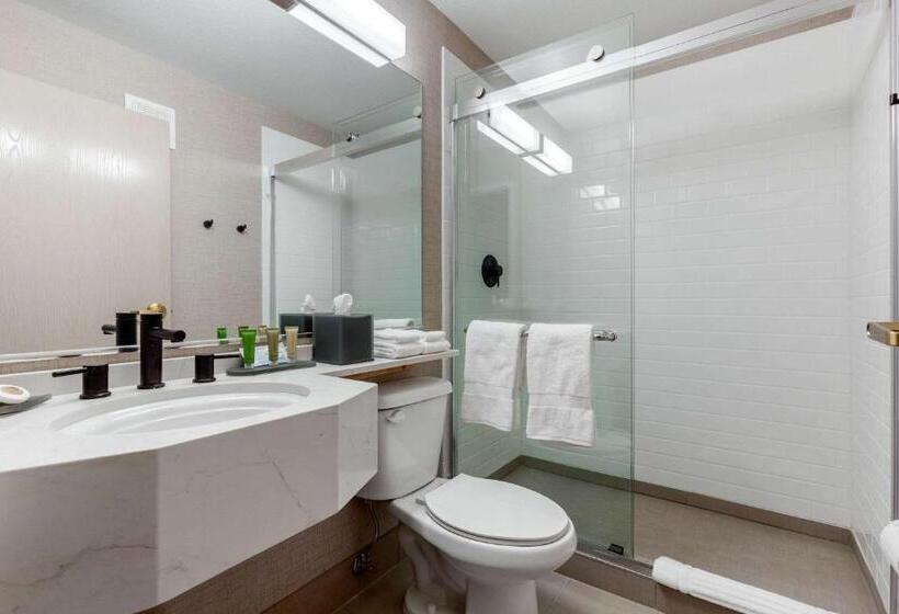 غرفة قياسية, Tempest, Trademark Collection By Wyndham