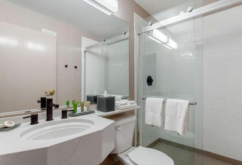 غرفه قياسيه سريرين مزدوجين, Tempest, Trademark Collection By Wyndham