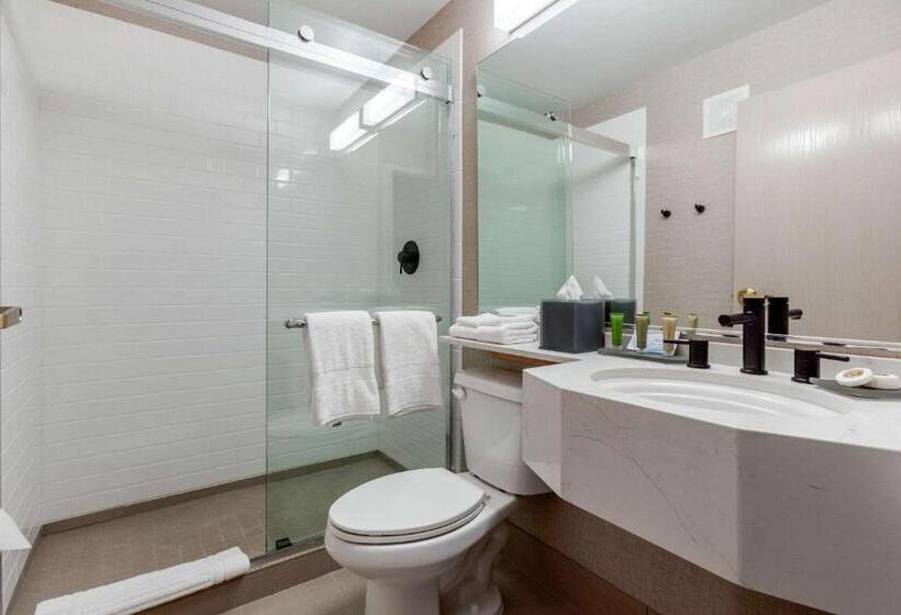 غرفه قياسيه سريرين مزدوجين, Tempest, Trademark Collection By Wyndham