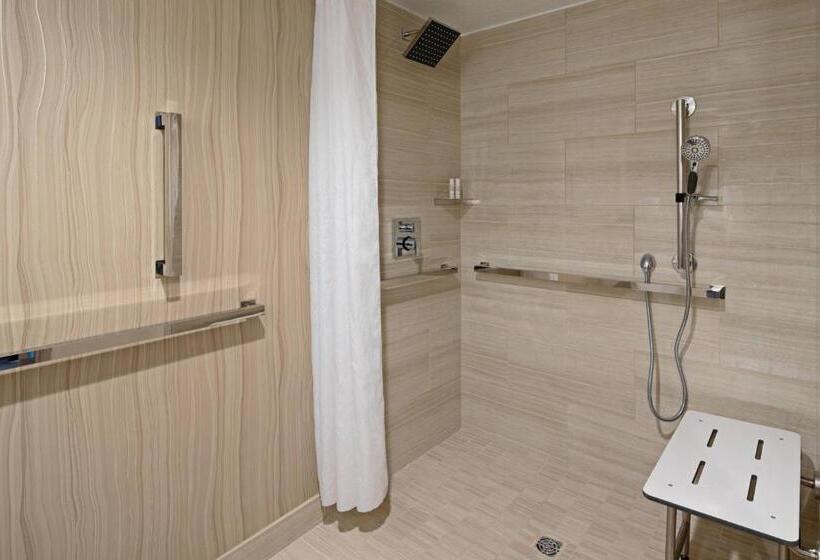 اتاق استاندارد با تخت بزرگ, Tucson Marriott University Park