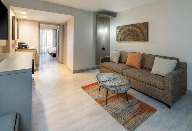 스위트 킹사이즈 침대, Tucson Marriott University Park