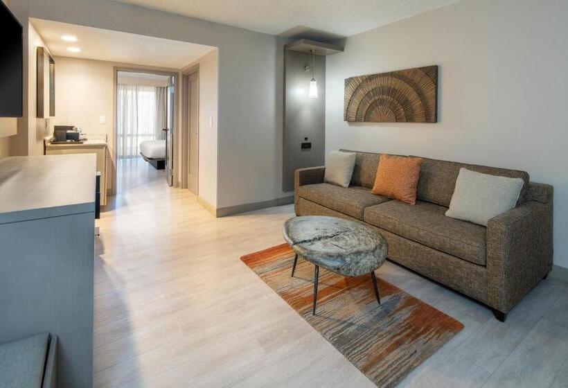 سوئیت با تخت بزرگ, Tucson Marriott University Park