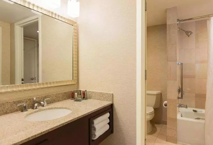 キングサイズベッドのスイートルーム, Washington Dulles Marriott Suites