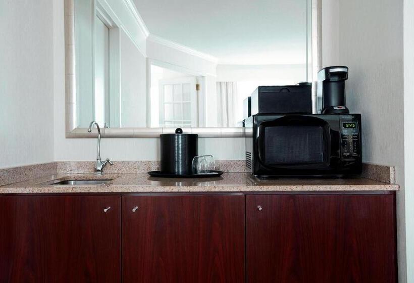 キングサイズベッドのスイートルーム, Washington Dulles Marriott Suites