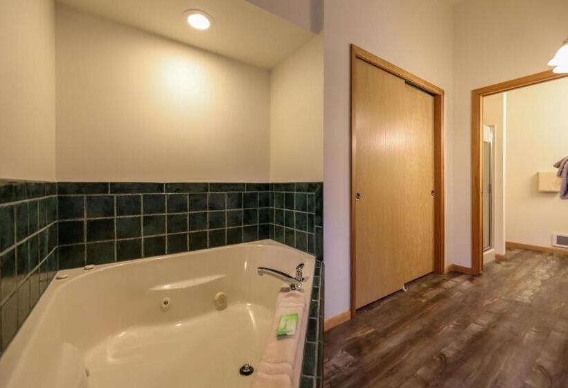 חדר סטודיו סטנדרד, Meadow Lake Resort & Condos