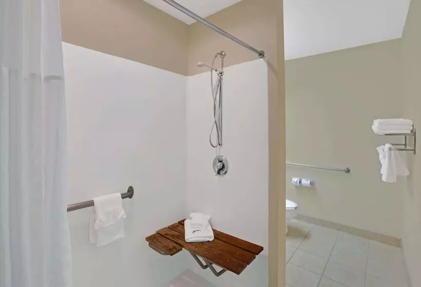 身障者適用スタンダードルーム, Microtel Inn By Wyndham University Place
