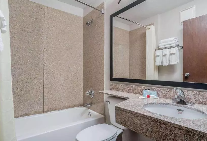 اتاق استاندارد, Microtel Inn & Suites By Wyndham Rochester North Mayo Clinic