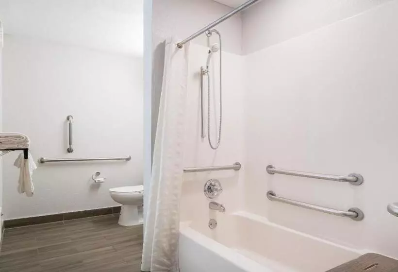 اتاق استاندارد برای معلولان, Microtel Inn & Suites By Wyndham Rochester North Mayo Clinic