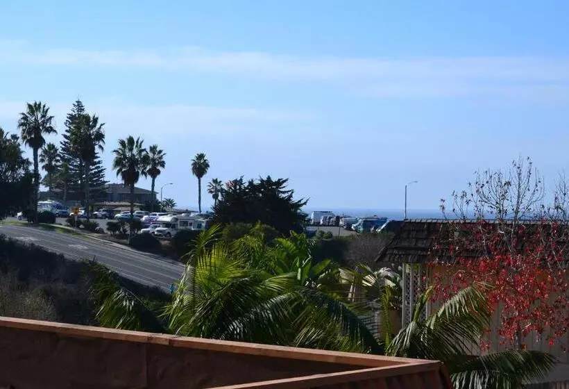 キングサイズベッドのスタンダードルーム, Moonlight Beach Motel
