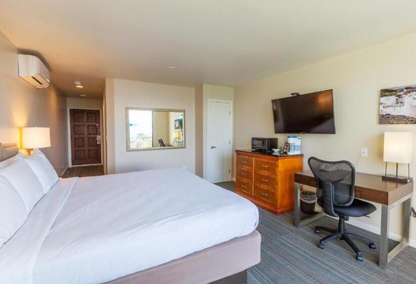 غرفة قياسية سرير كينج, Moonlight Beach Motel
