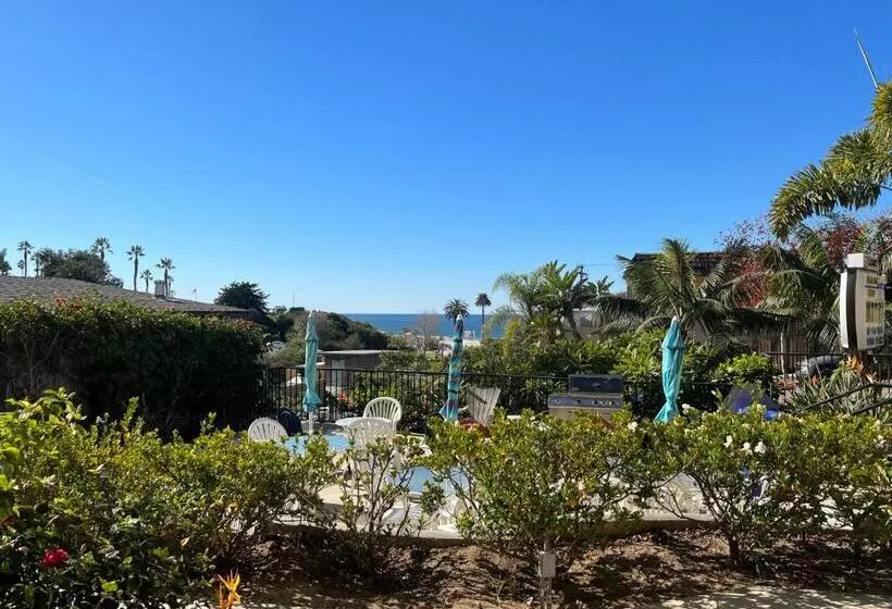 スタンダードルーム, Moonlight Beach Motel