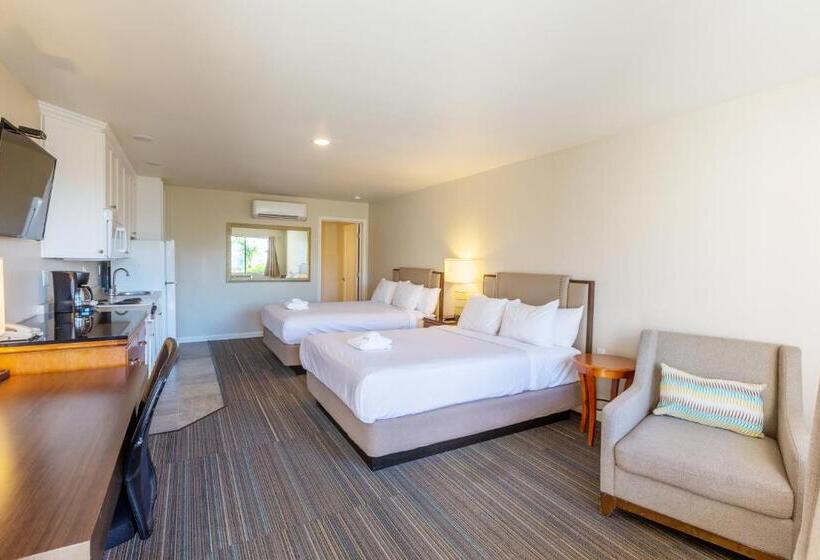 غرفة قياسية داخلية, Moonlight Beach Motel