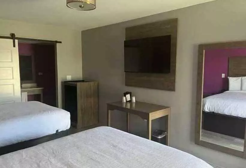 2ダブルベッドのスタンダードルーム, Motel 6 Tuscaloosa Al University