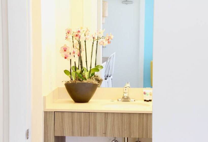 豪华房间, Fortuna