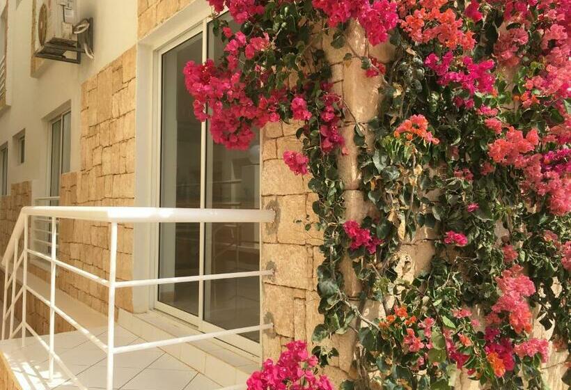 آپارتمان 1 خوابه با تراس, Terra Kriola