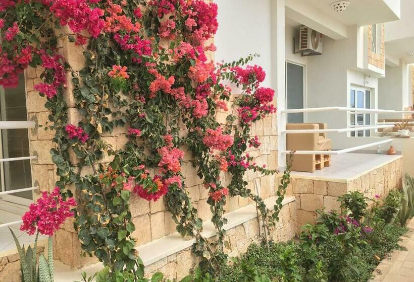 آپارتمان 1 خوابه با تراس, Terra Kriola