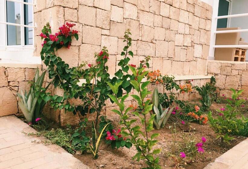 آپارتمان 1 خوابه با تراس, Terra Kriola