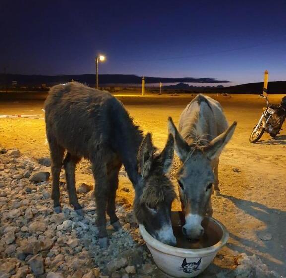 آپارتمان سوپریور 1 خوابه, Terra Kriola