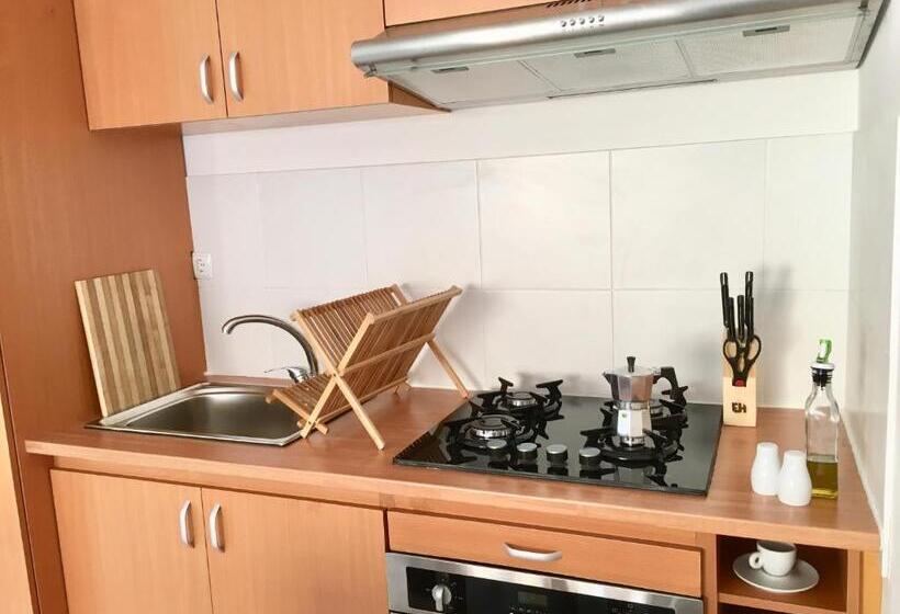 آپارتمان 1 خوابه با چشمانداز باغ, Terra Kriola