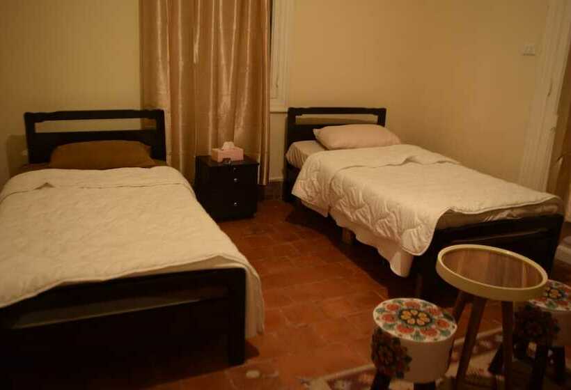 Economy Room, Seed Guest House