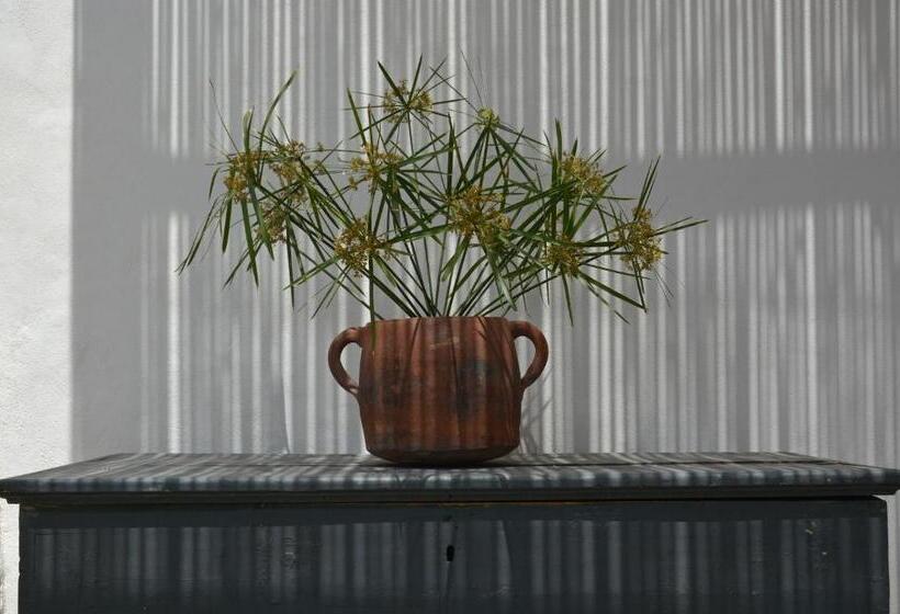 חדר סטנדרט, Mariangelica