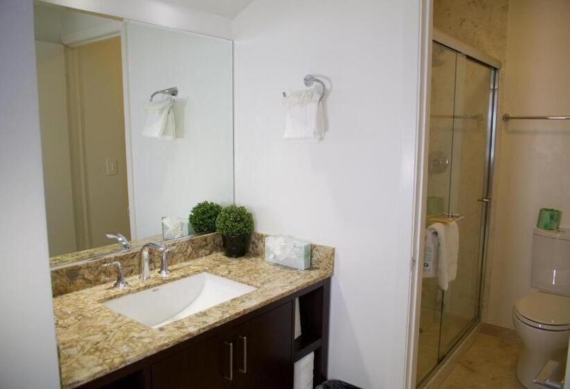 غرفة قياسية سرير كينج, Munras Inn