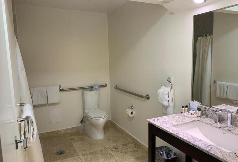 غرفة قياسية لذوى الاحتياجات الخاصة, Munras Inn