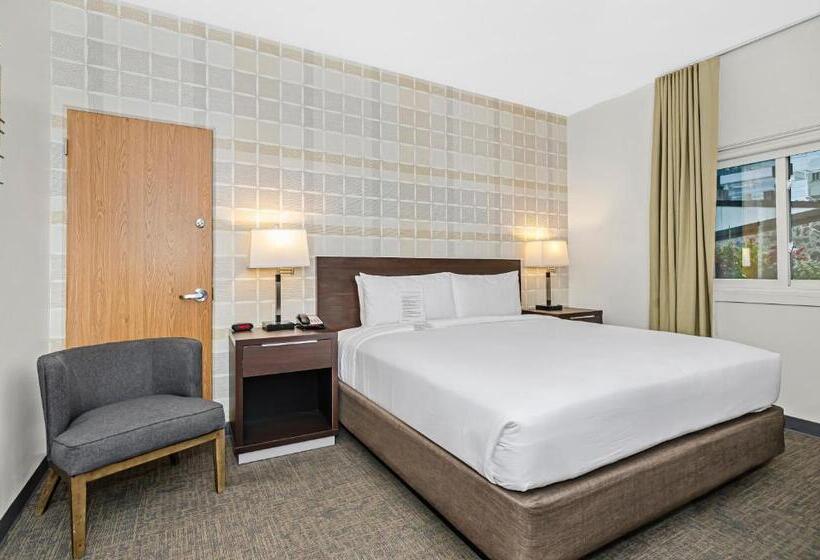 스탠다드 룸 킹사이즈 침대, Ohio House Motel