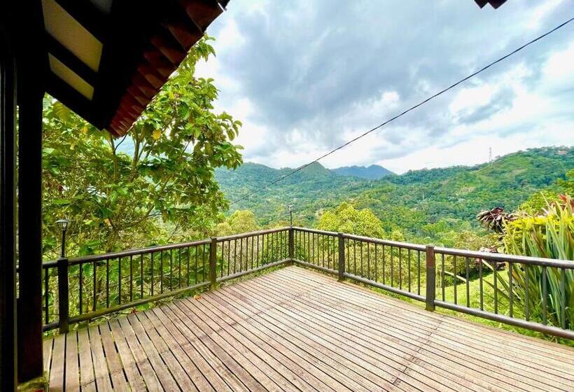 منزل غرفتين نوم, Lomar Sol&luna