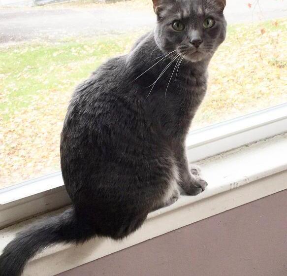 豪华房间, Art Gallery Hostel