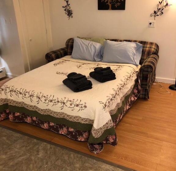 豪华工作室, Art Gallery Hostel