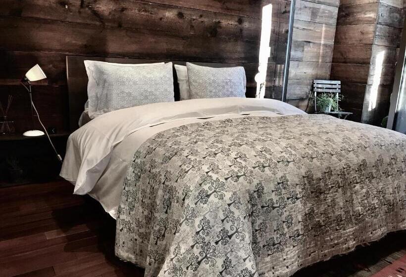 جناح, Guest House Maison De Stuffmarket