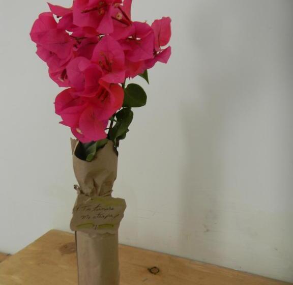 スタンダードルーム, Hostalnativo