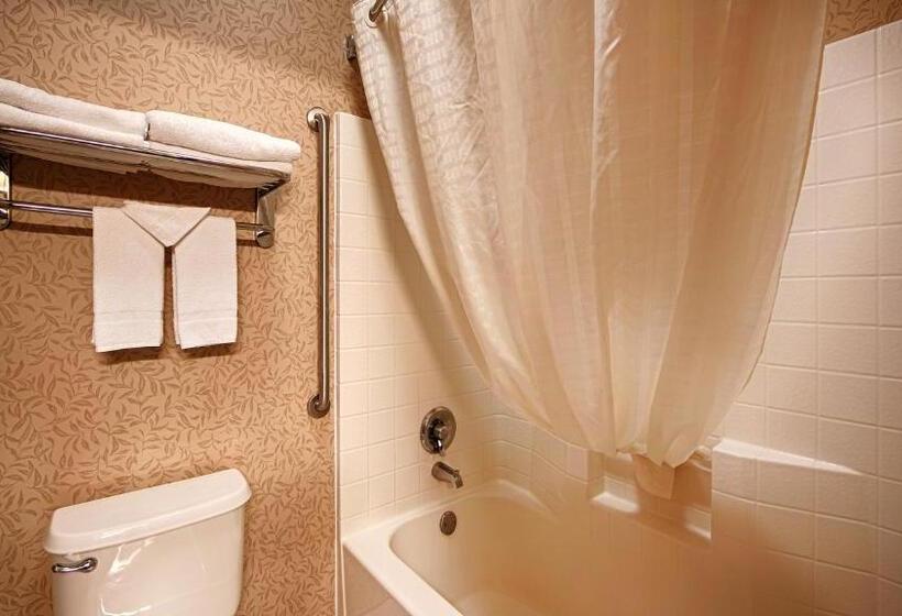 스탠다드 룸 킹사이즈 침대, Best Western Wilsonville Inn & Suites