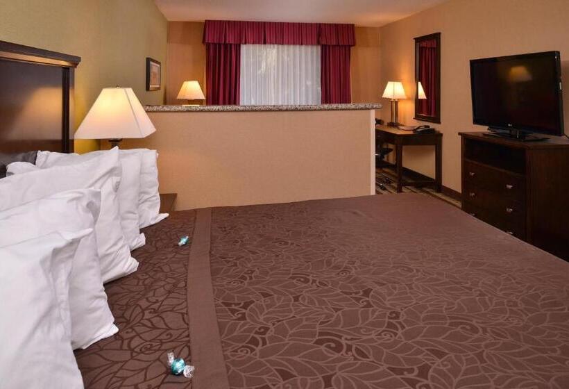 스탠다드 룸 킹사이즈 침대, Best Western Wilsonville Inn & Suites