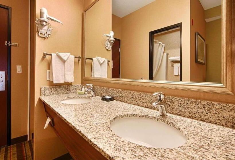 חדר סטנדרט עם מיטת קינג, Best Western Wilsonville Inn & Suites