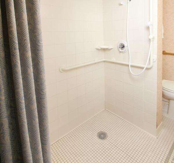 스탠다드 룸 킹사이즈 침대, Nittany Lion Inn