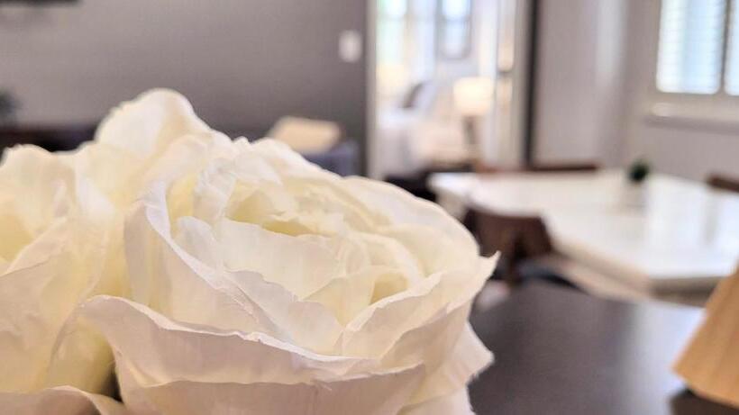 شقة ديلوكس غرفة واحدة, Phillips