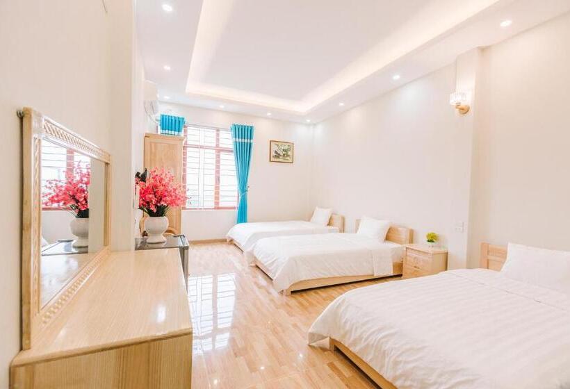 اتاق خانوادگی, La Teisu Airport