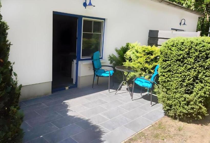 Номер Стандарт с Террасой, Windland