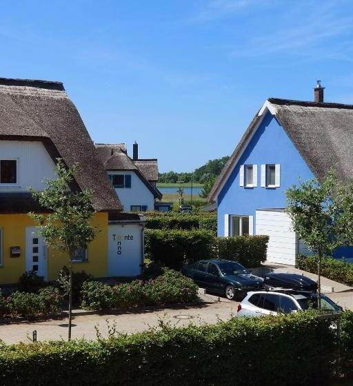 Номер Стандарт, Windland