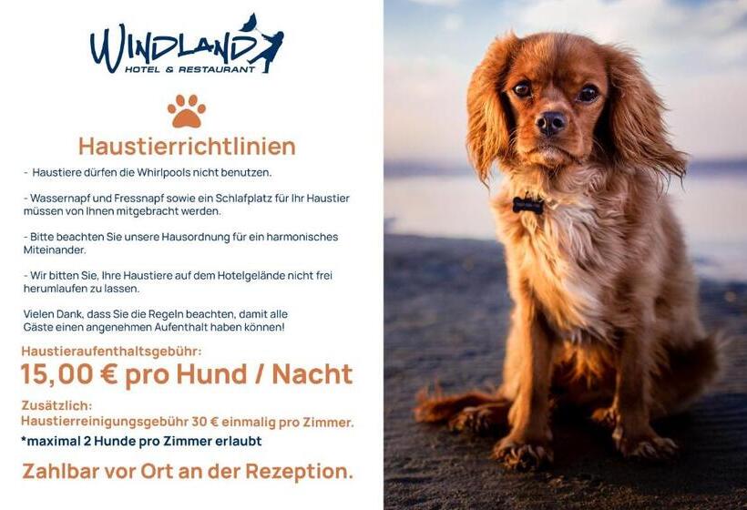 Номер Стандарт с Террасой, Windland