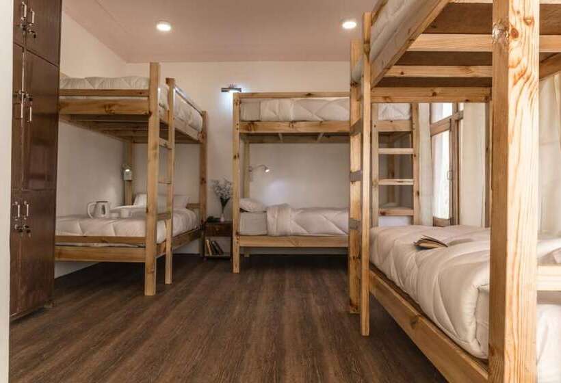 تختخواب در اتاق مشترک, Ree Hostel