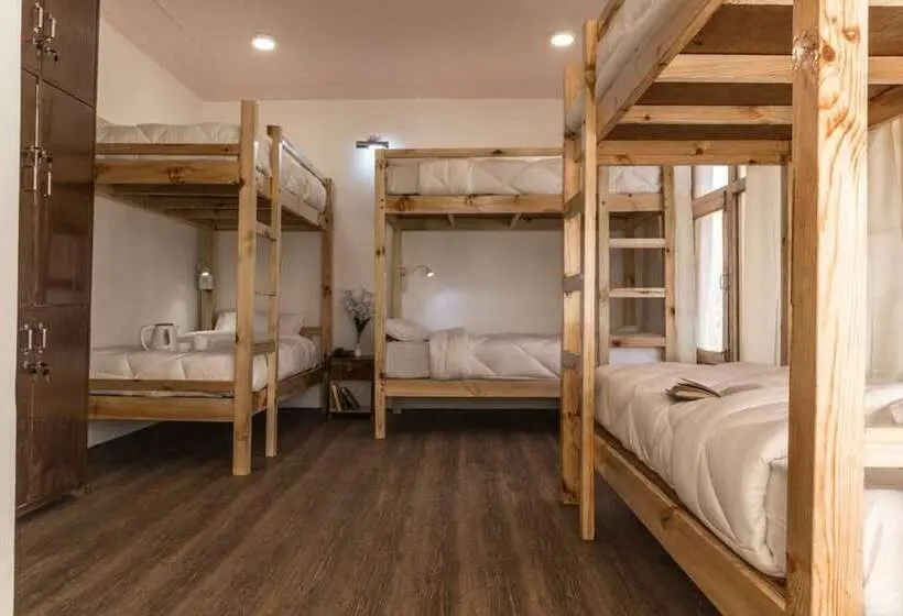 ルームシェアのワンベッド, Ree Hostel
