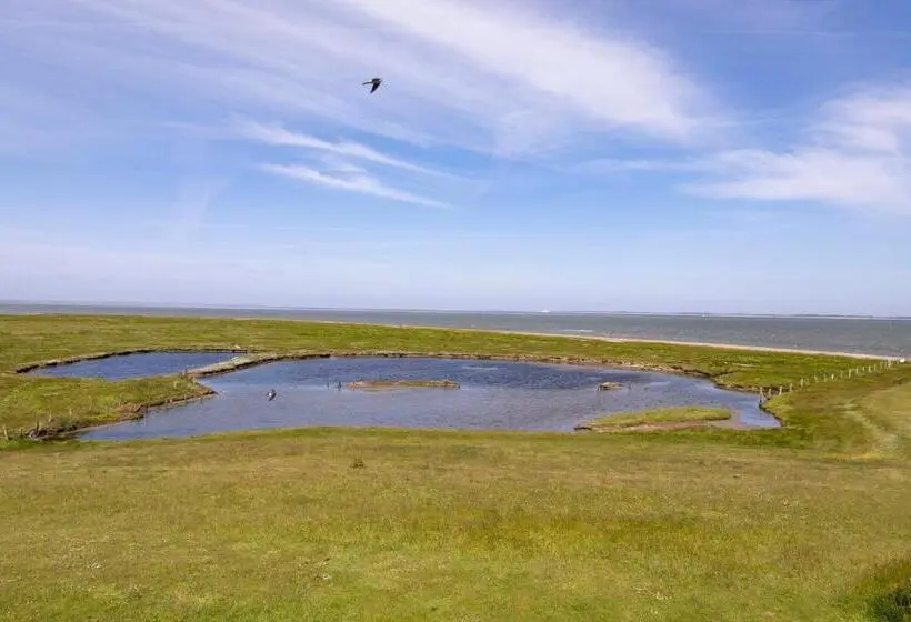 テラス付きスタンダードルーム, Anker S Hörn Hotel & Restaurant Auf Der Hallig Langeness
